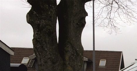 Reklamen ses både når bilen kører og holder stille